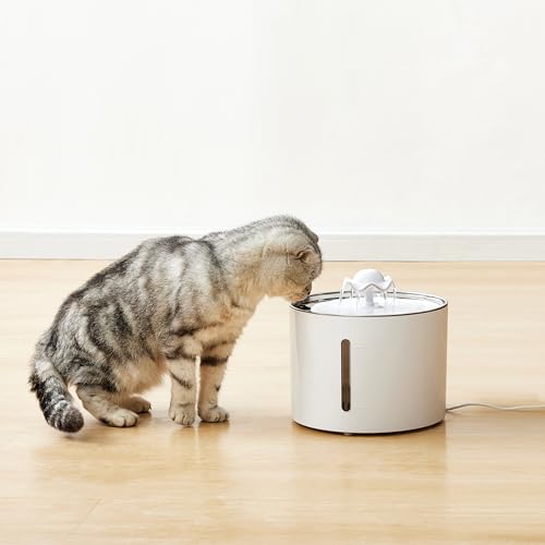 Large Capacity Pet Water Fountain with Stainless Steel Top
