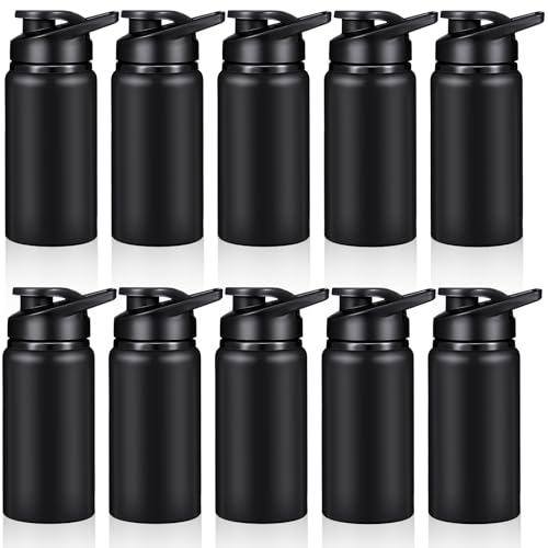 10 Pcs 13.5oz Aluminum Water Bottles Bulk