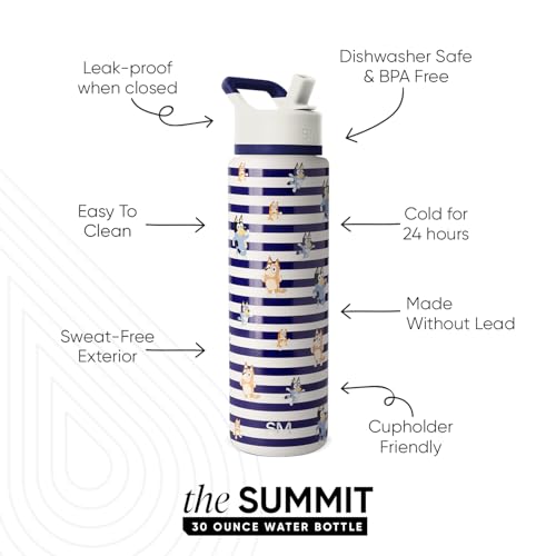 Bluey Insulated Water Bottle with Straw