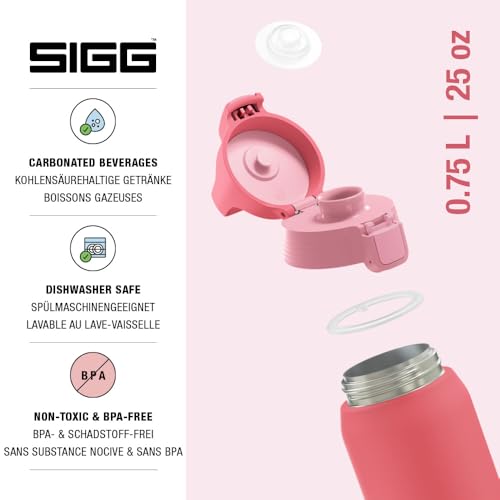Insulated Water Bottle