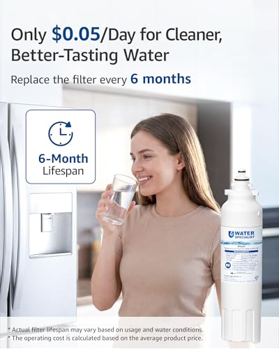 ADQ73613401 Refrigerator Water Filter (8.67 Count)