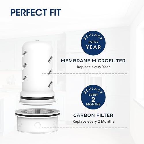 Pitcher Filters Compatible with LifeStraw (7 Count)
