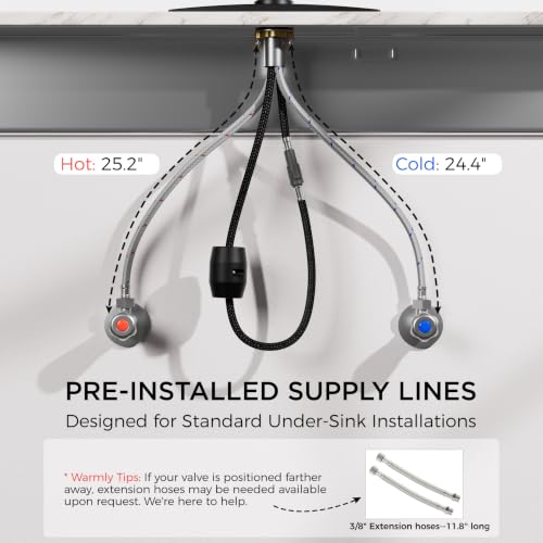 Black Kitchen Faucet with Pull Down Sprayer