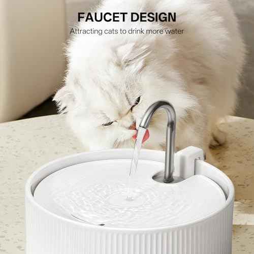 Ceramic Cat Water Fountain