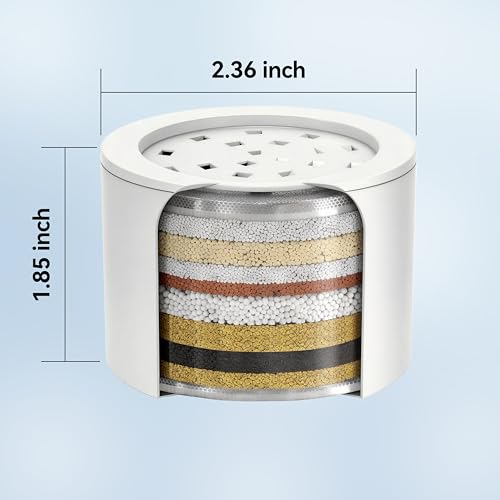 Shower Head Filter Replacement (2 Count)