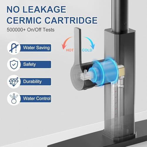 Kitchen Faucet with Pull Down Sprayer