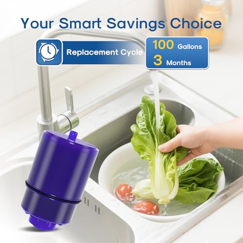 Faucet Water Filter Replacement for Pur® Plus RF9999® FM (3 Count)