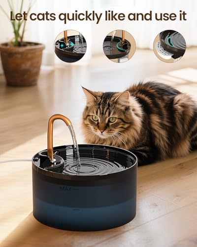 Cat Water Fountain with 6 (74 Fl Oz)