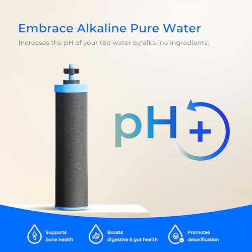 TK-AD-FS Alkaline Gravity Water Filter System, Increase PH