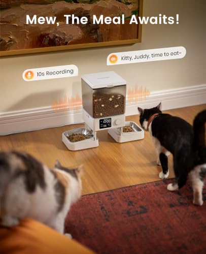 Automatic Cat Feeder for 2 Cats Pets