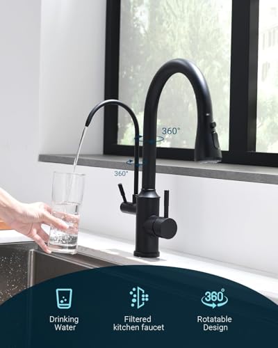 Kitchen Faucet with Water Filter