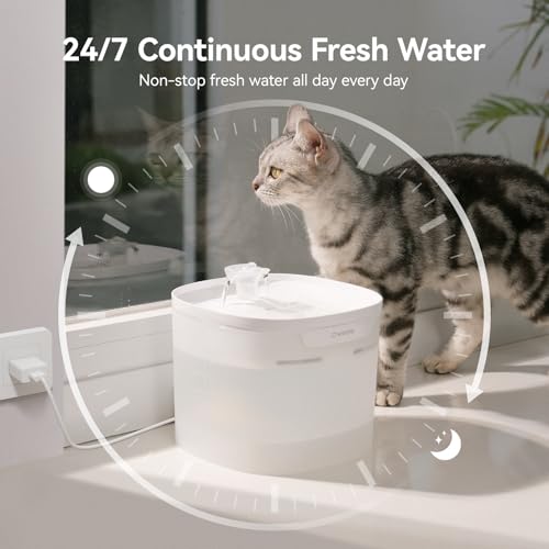 Pumpless Cat Water Fountain