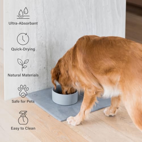 Home Ceramic Dog Bowls + Stone Drying Mat