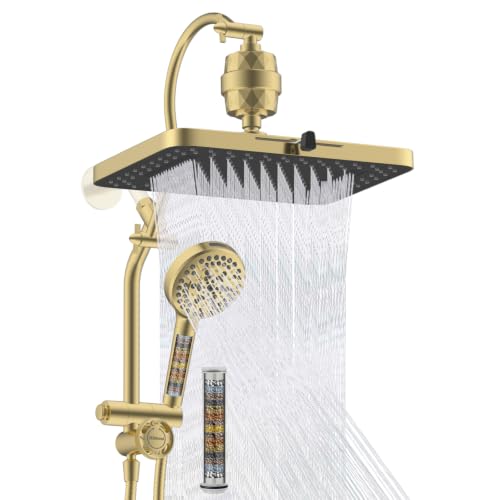 5 spray Dual Filtered Rainfall Shower Head with 10 Spray Handheld