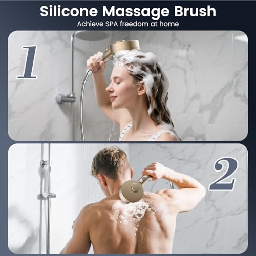 Filtered Shower Head with Handheld