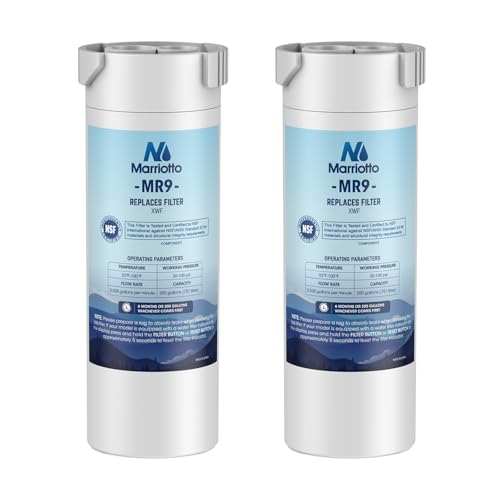 XWF Replacement for GE XWF Refrigerator Water Filter 2 Pack (2 Count)