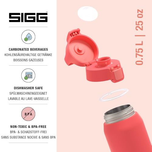 Insulated Water Bottle