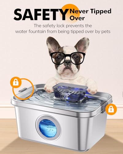 Cat & Dog Water Fountain