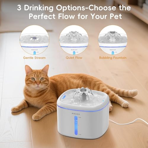 Cat Water Fountain