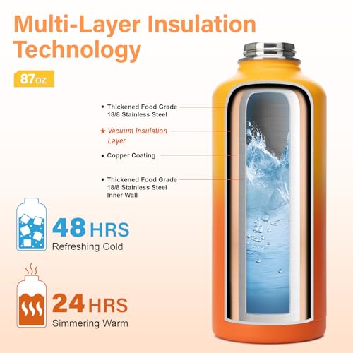 Insulated Water Bottle
