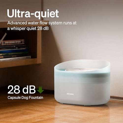 2.1Gal 8L Dog Water Fountain for Large Dog