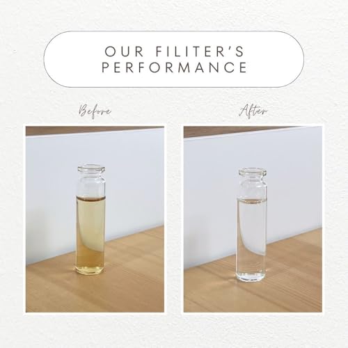 2 Pack Replacement Shower Filter for The Jolie (2 Count)