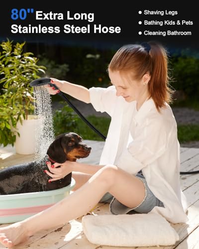 Shower Head with Handheld