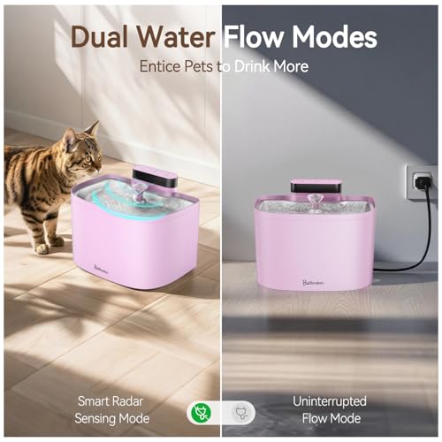 Cat Water Fountain