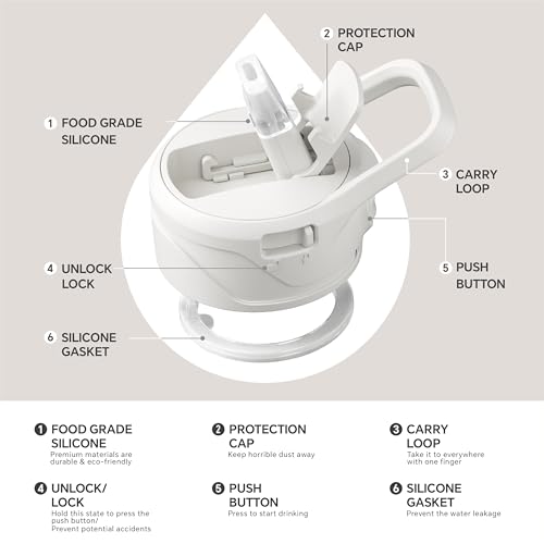 Insulated Stainless Steel Water Bottle with 2 Leak