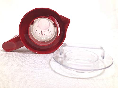 Glass Water Infusion Pitcher