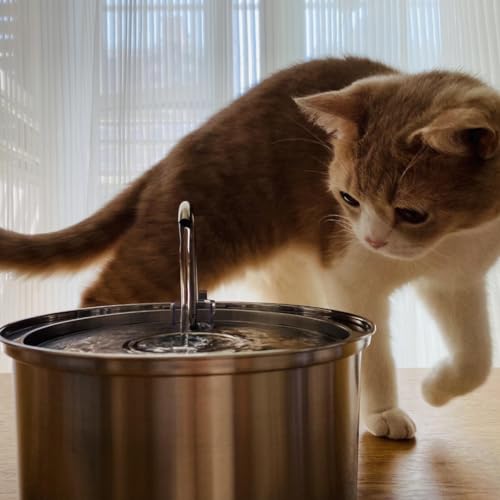 Stainless Steel Cat Water Fountain Automatic Drinking Fountain