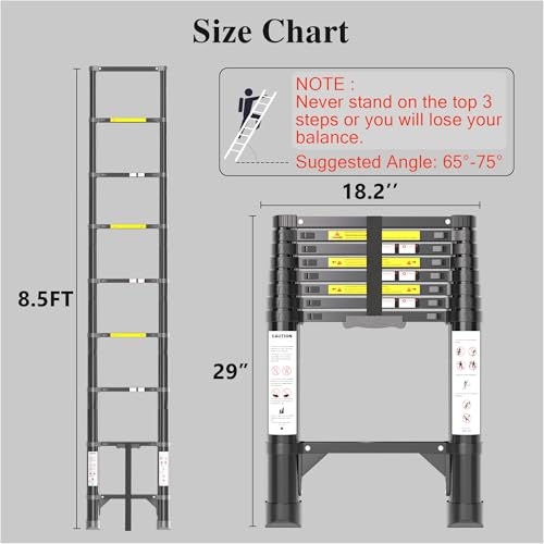 Telescoping Ladder