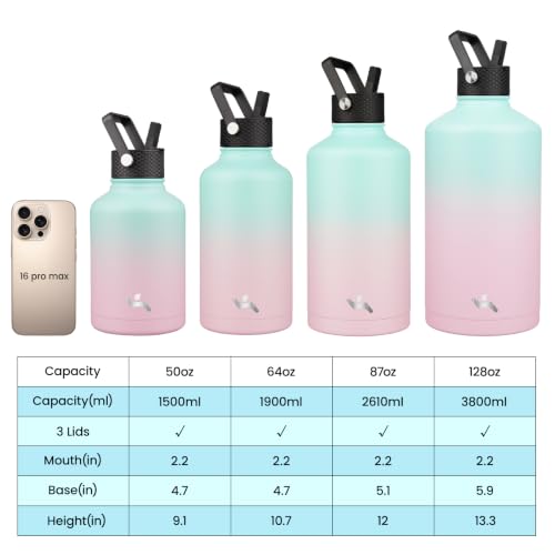 50 oz Insulated Stainless Steel Water Bottle Jug with Handle
