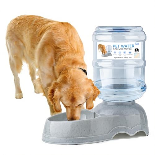 3 Gallon Large Dog Water Dispenser