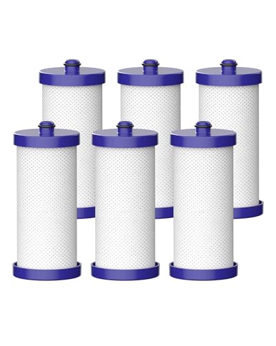 WF1CB Refrigerator Water Filter (6 Count)