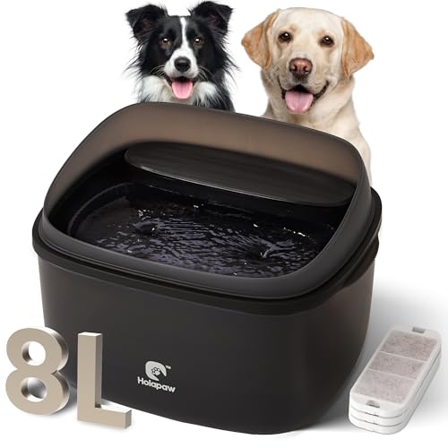 Dog Water Fountain for Large Dogs
