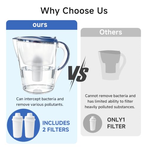 Water Filter Pitcher with 2 Replacement Filters