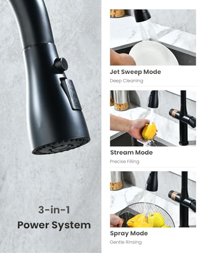 Black Kitchen Faucet with Water Filter