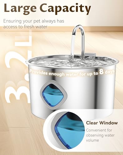 Dog Bowl for Small Dogs