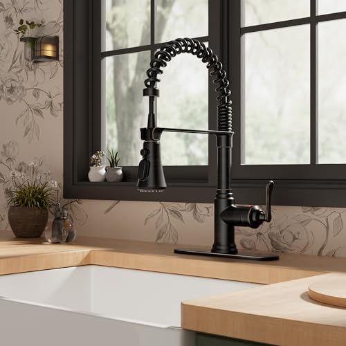 Rustic Kitchen Faucet with Pull Down Sprayer