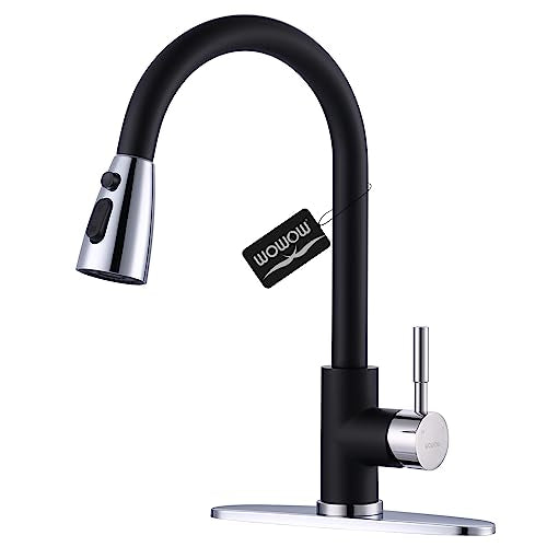 Black and Chrome Kitchen Faucet with Sprayer
