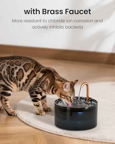 Cat Water Fountain with 3 (74 Fl Oz)