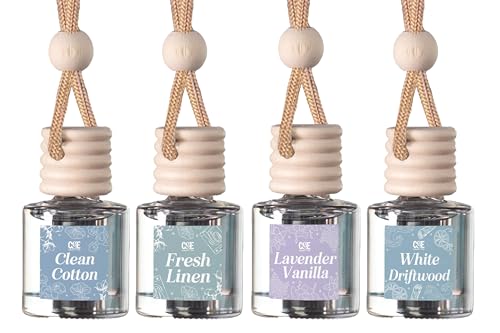 Hanging Car Air Freshener (4 Count)