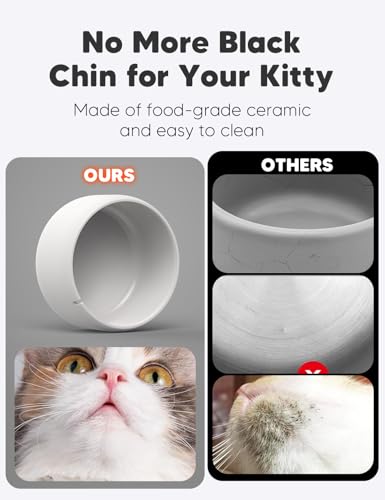 Premium Ceramic Cat Water Fountain W03 Lite
