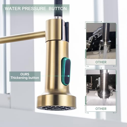 Pull Down Kitchen Faucet