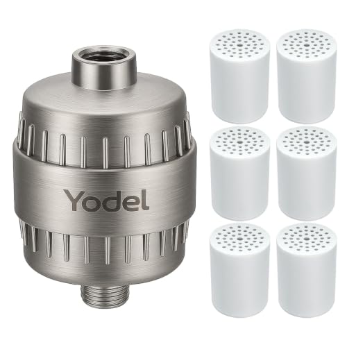 Shower Filter with 6 Cartridge Brushed Nickel (6 Count)