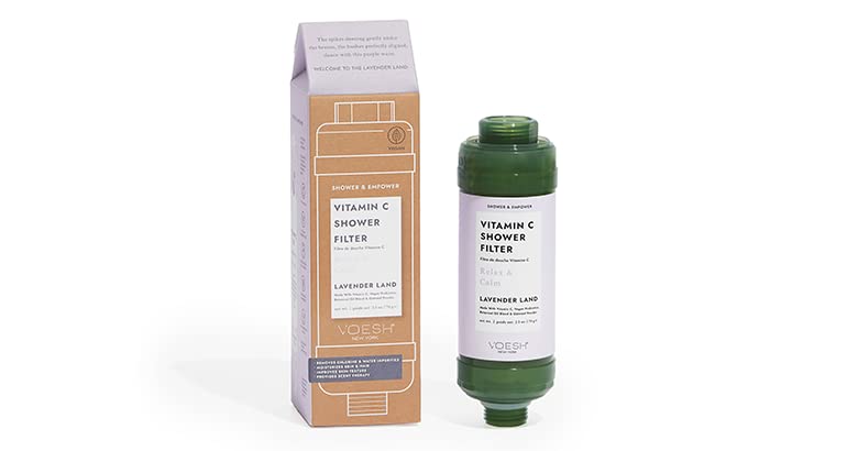 Vitamin C Shower Filter (2 Count)
