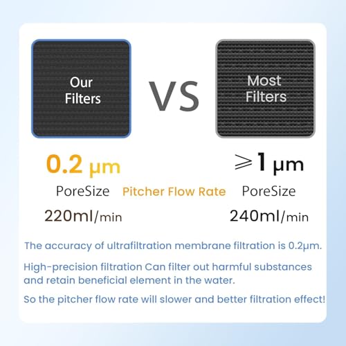 Pitcher Filters Compatible with LifeStraw (7 Count)