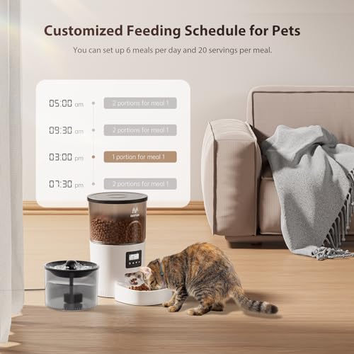 Automatic Cat Feeder and Water Fountain