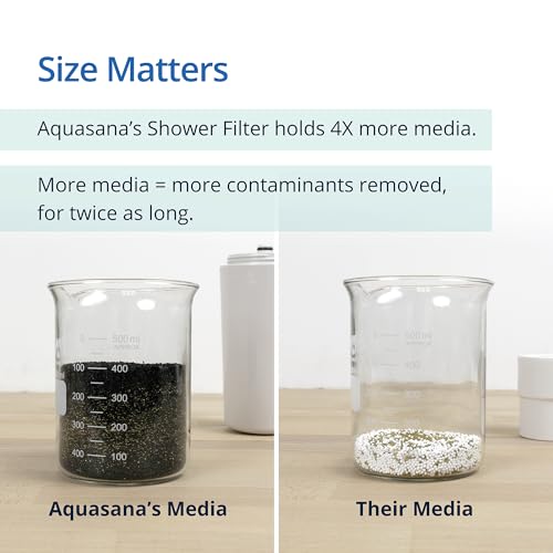 AQ 4105 Showerhead Filter System with Handheld Wand